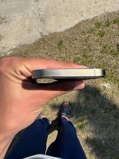 lush condition 12 pro non pta battery change