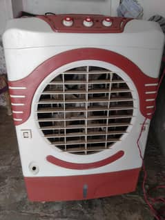 super Asia air collar urgent sale.