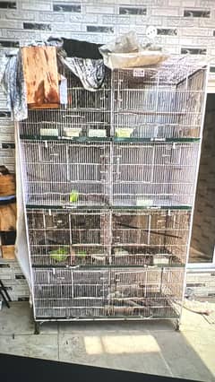 birds parrots cages available