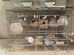 cages