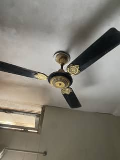 Ceiling