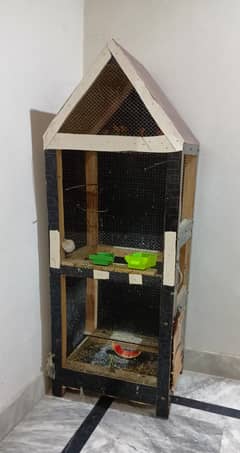 Birds