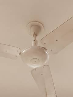 Ceiling