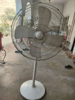 Pedestal Fan