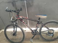 Sport cycle