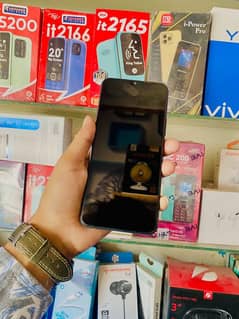 vivo