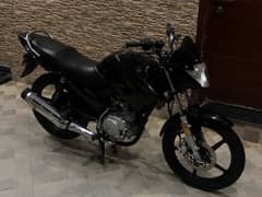 Yamaha YBR ESD 2019