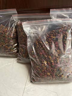 Cat Food (company:Target)