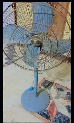 Royal Fan
