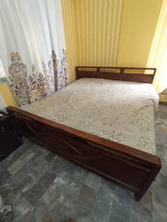shisham