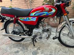 CD 70 2024