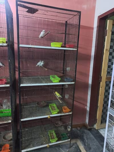 Cage, very good condition