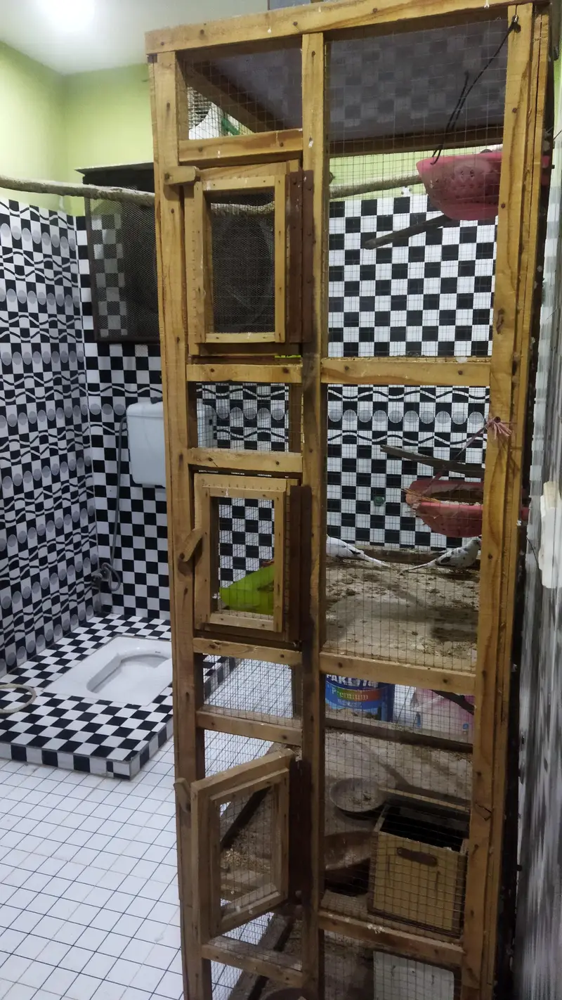 Cage, very good condition. . . price negotiable — photo 2