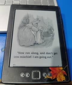 Amazon Kindle Ebook Reader