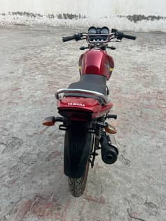 Yamaha
