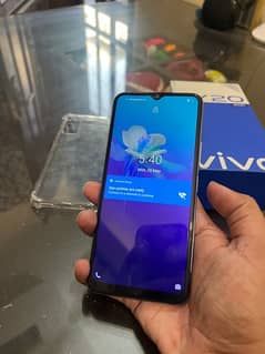 Vivo