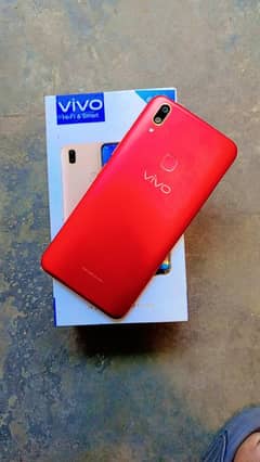 vivo