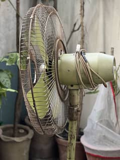 !!! Stand Fan !!!