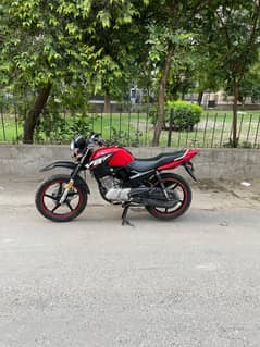 Yamaha YBR 125G Model 2018 converted to 2025