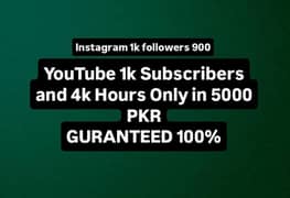 Youtube subscribers and instagram followers