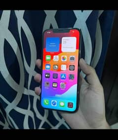 iPhone 12,pro max