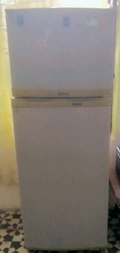 frige