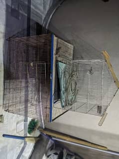 Bird Cages