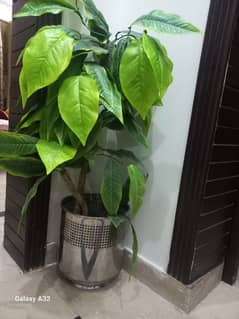 stainless steel planter with plant and wooden planter