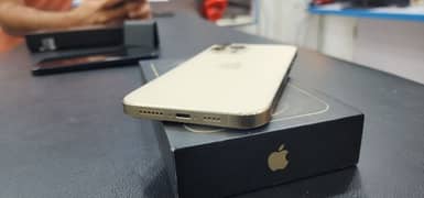 12Pro