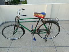 Sohrab Cycle 24''