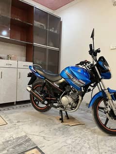 Yamaha YBR 125 Model 2015 For sale