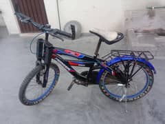 Pioneer