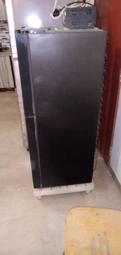 Haier