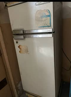 philips fridge for sale chill