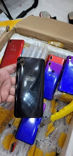 Vivo