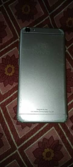vivo