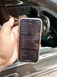 iphone12