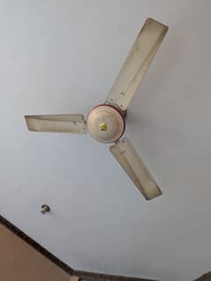 Ceiling