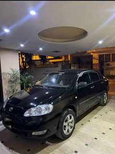 Crolla gli for sale  03241926199 whatsapp