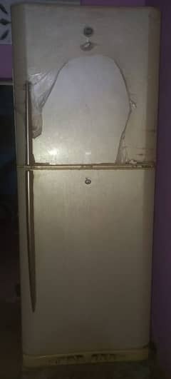 Pael Fridge
