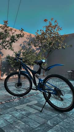 gair bicycle