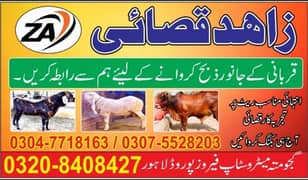 qasai for qurbani/03047718163