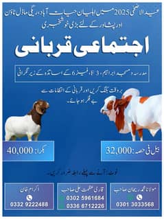 Eidul