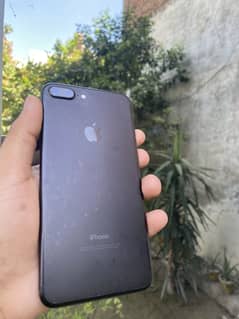 7plus pta approved