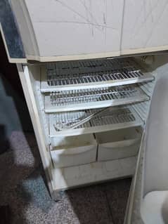 Fridge