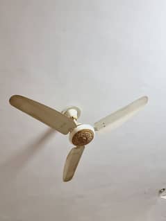 Parwaz Ceiling Fan