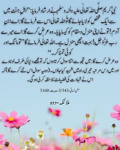 Design Urdu & English Instagram/Facebook Poetry Posts