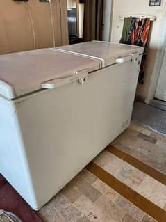 PEL double door deep freezer