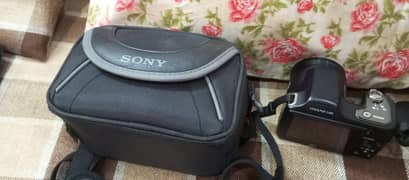 Nikon Coolpix L100