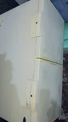 pament